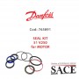 765891 - SEAL KIT 51 V250 FOR MOTOR
